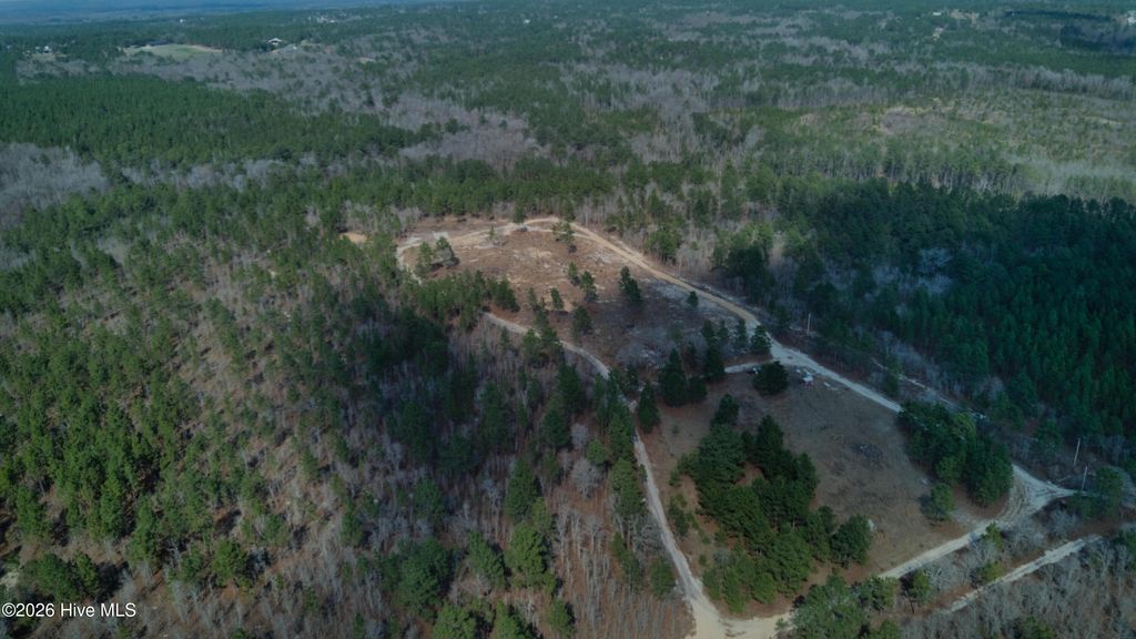 Photo of 1121 D L Phillips Lane, Lillington, NC 27546 (MLS # 100570493)