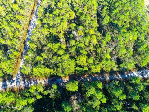 Tiny photo for 0 Pender Road, Boiling Spring Lakes, NC 28461 (MLS # 100546865)