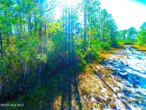 Tiny photo for 0 Pender Road, Boiling Spring Lakes, NC 28461 (MLS # 100546865)