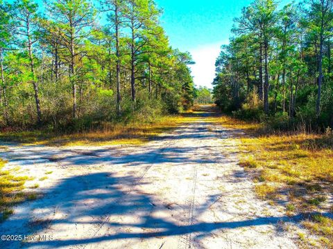 Tiny photo for 0 Pender Road, Boiling Spring Lakes, NC 28461 (MLS # 100546865)