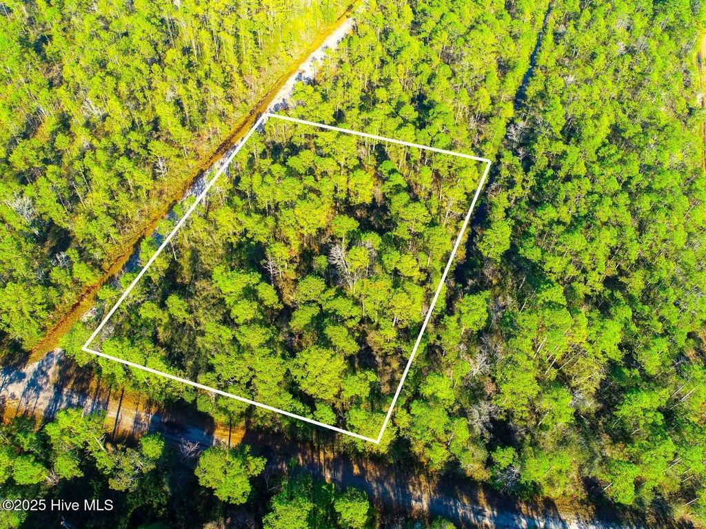 Photo of 0 Pender Road, Boiling Spring Lakes, NC 28461 (MLS # 100546865)