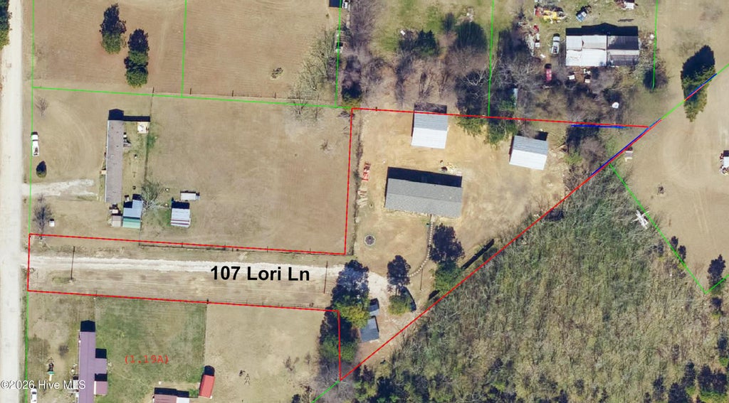 Photo of 107 Lori Lane, Dunn, NC 28334 (MLS # 100605152)
