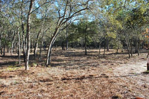 Photo of 3581 Concordia Avenue SW, Supply, NC 28462 (MLS # 100559275)