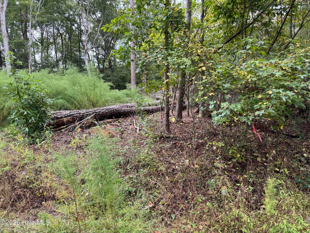 Photo of 124 Maple Lane, Blounts Creek, NC 27814 (MLS # 100608414)