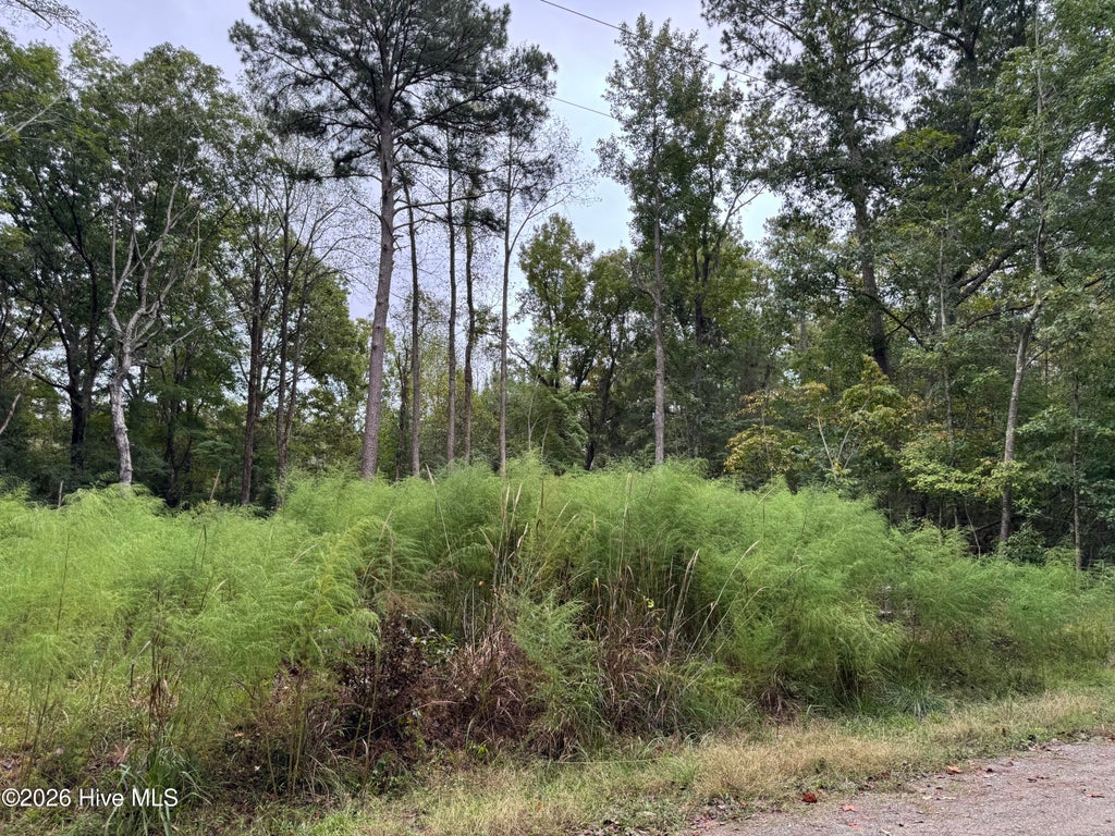 Photo of 124 Maple Lane, Blounts Creek, NC 27814 (MLS # 100608414)