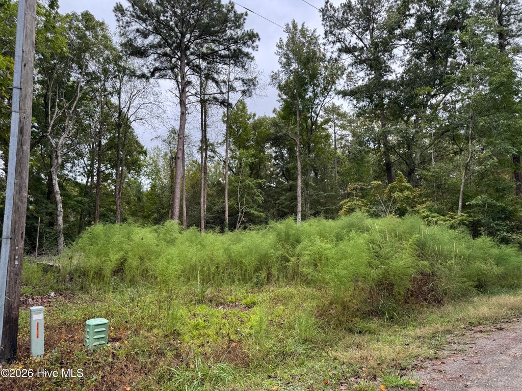 Photo of 124 Maple Lane, Blounts Creek, NC 27814 (MLS # 100608414)