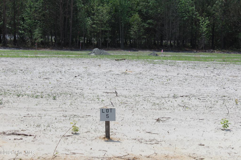 Photo of 950 Blind Bridge Road, Magnolia, NC 28453 (MLS # 100569718)