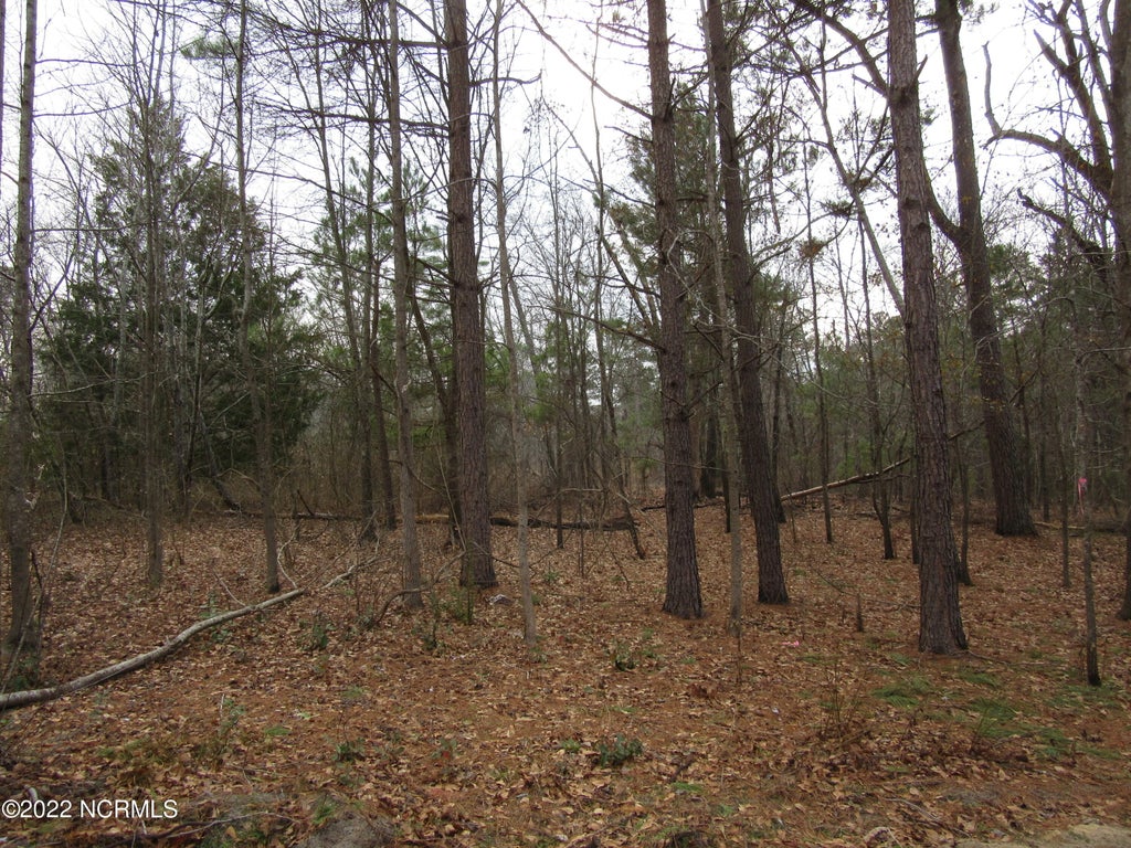 Photo of 4344 Lakewood Drive, Maxton, NC 28364 (MLS # 100608060)