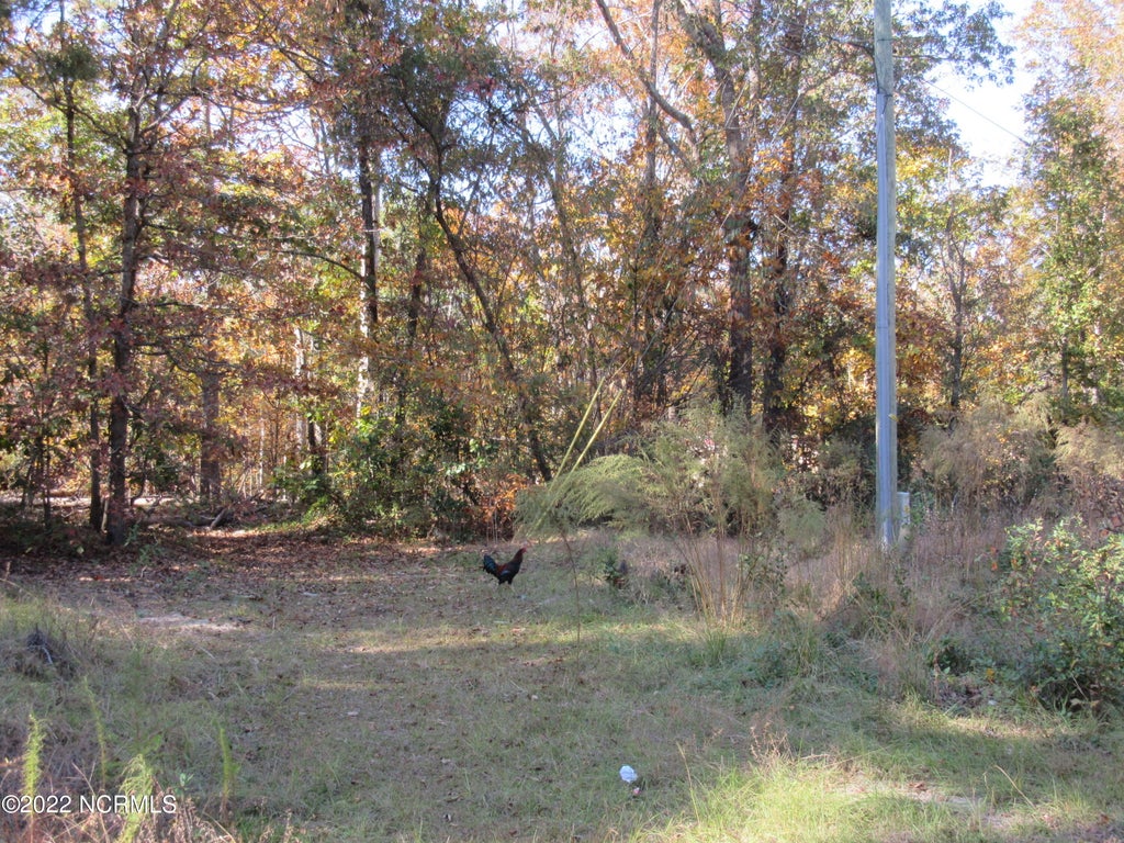 Photo of 4344 Lakewood Drive, Maxton, NC 28364 (MLS # 100608060)