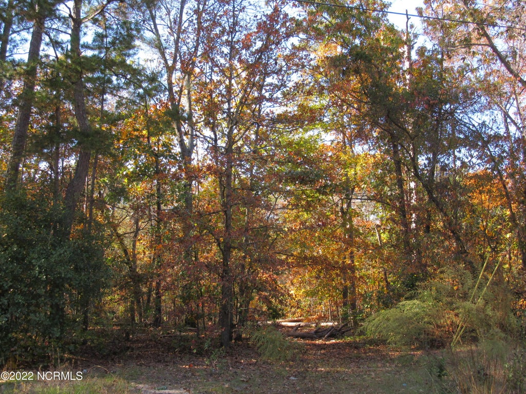 Photo of 4344 Lakewood Drive, Maxton, NC 28364 (MLS # 100608060)