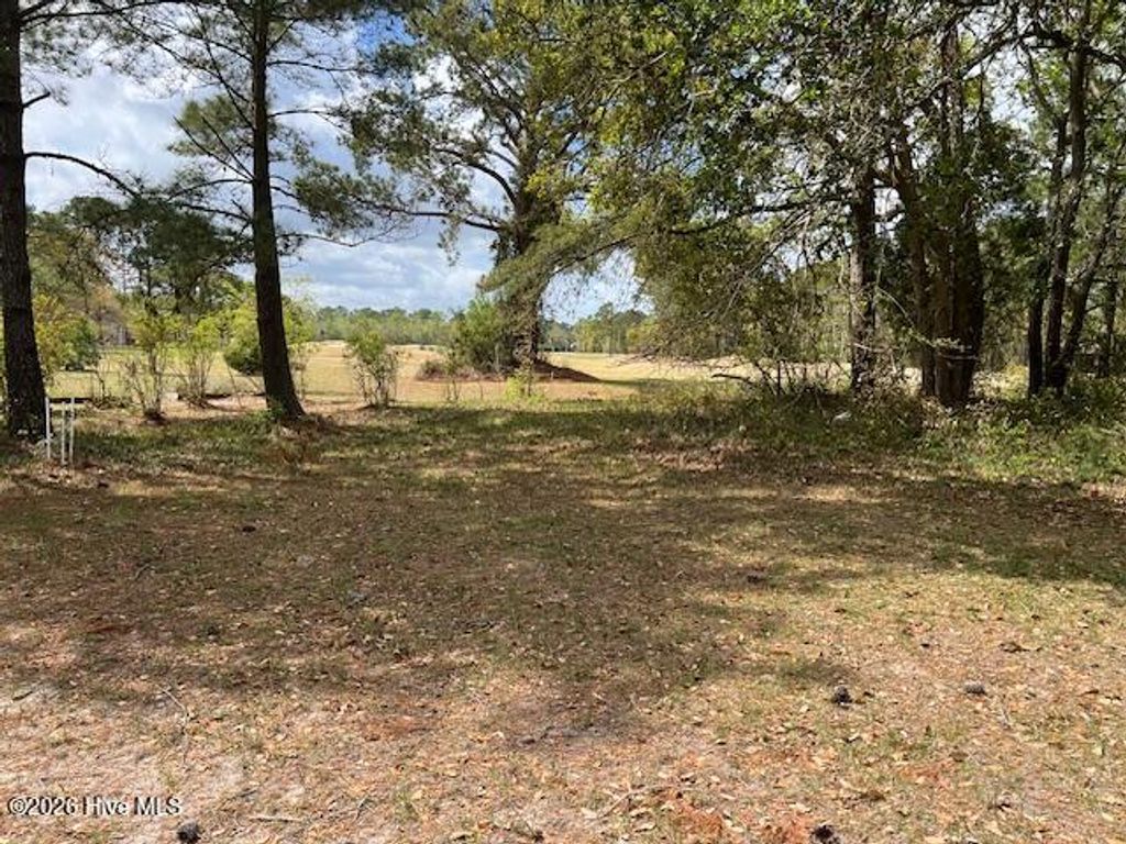 Photo of 1110 Coral Reef Drive, New Bern, NC 28560 (MLS # 100565598)