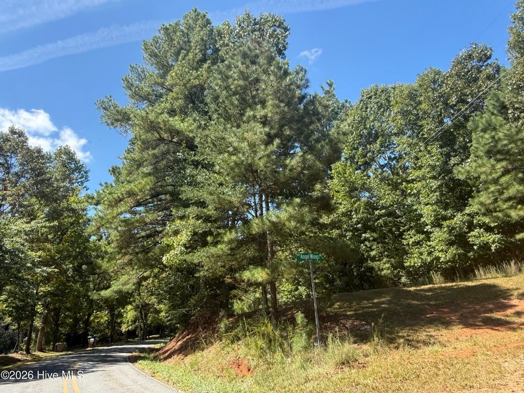 Photo of - Angel Wings Drive, Murphy, NC 28906 (MLS # 100602299)