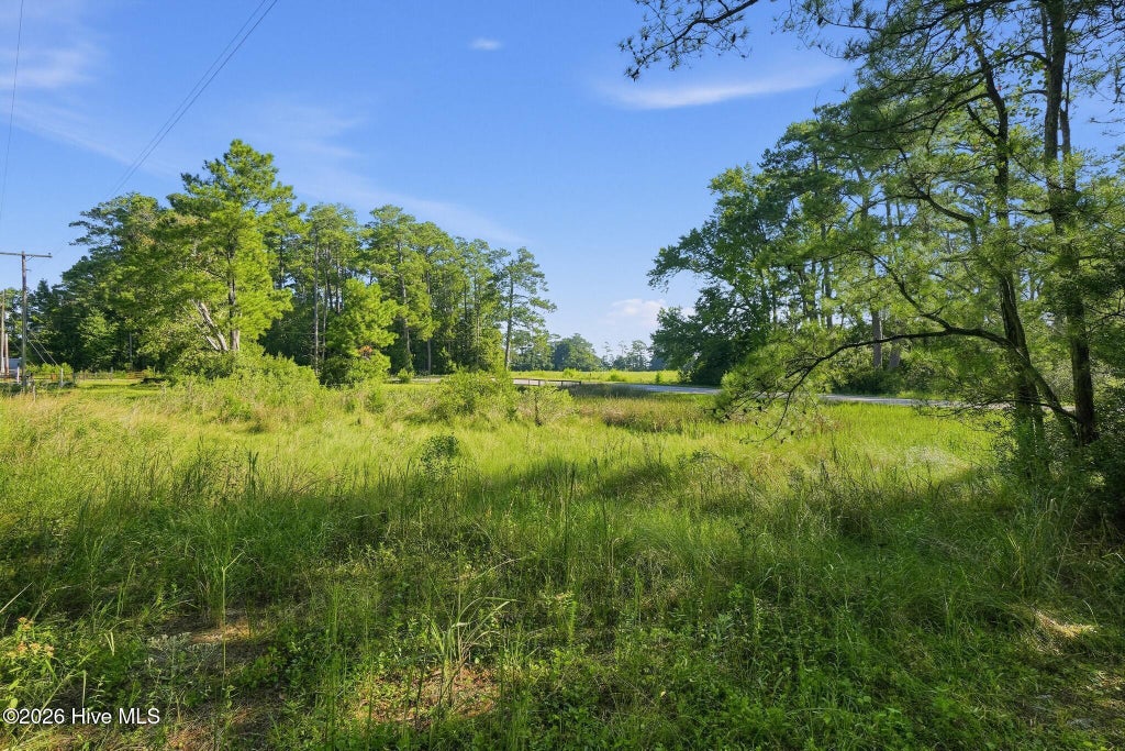 Photo of 3115 Mill Creek Road, Newport, NC 28570 (MLS # 100603144)
