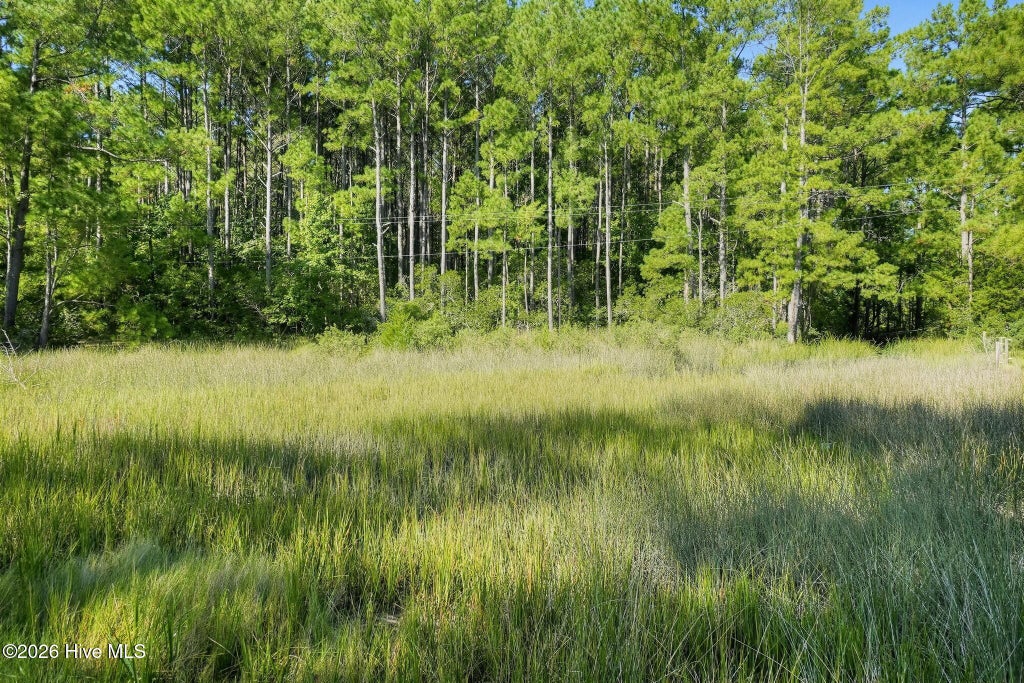 Photo of 3115 Mill Creek Road, Newport, NC 28570 (MLS # 100603144)