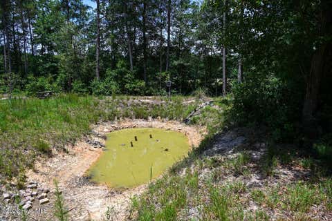 Tiny photo for 0 Rooks Road, Atkinson, NC 28421 (MLS # 100584458)