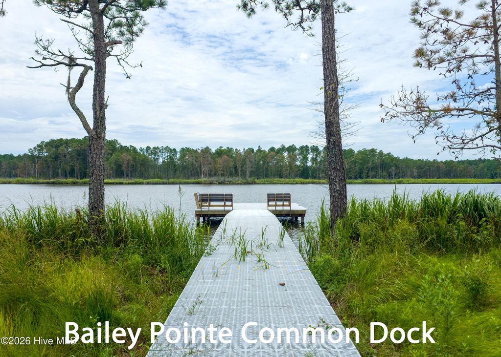 Photo of 33 Bailey Pointe Drive, Belhaven, NC 27810 (MLS # 100559101)