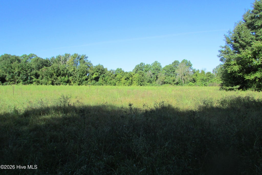 Photo of 201 Eliza Lane, Clinton, NC 28328 (MLS # 100606421)