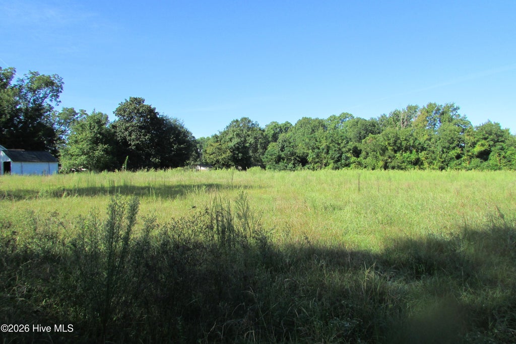 Photo of 201 Eliza Lane, Clinton, NC 28328 (MLS # 100606421)