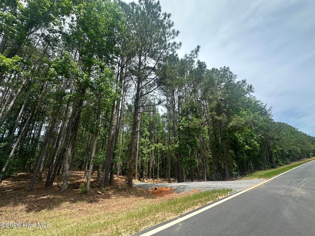 Photo of Lot E Ridge Road, Appling, GA 30802 (MLS # 100574442)