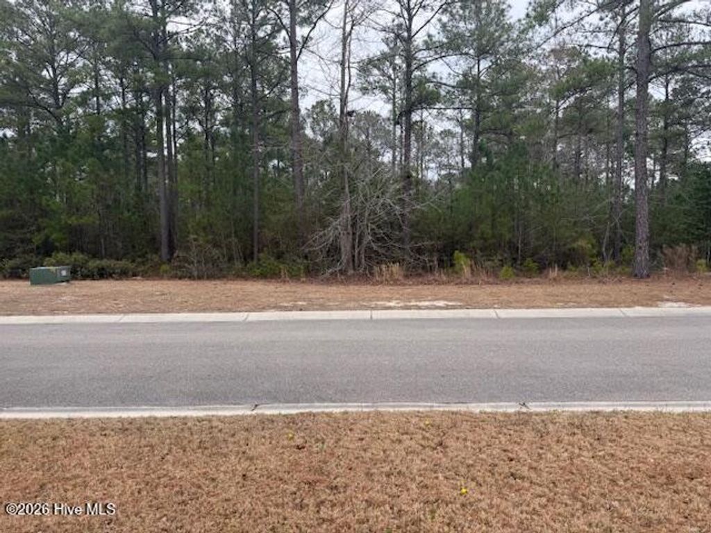 Photo of 3781 Hallmark Road NE, Leland, NC 28451 (MLS # 100556846)