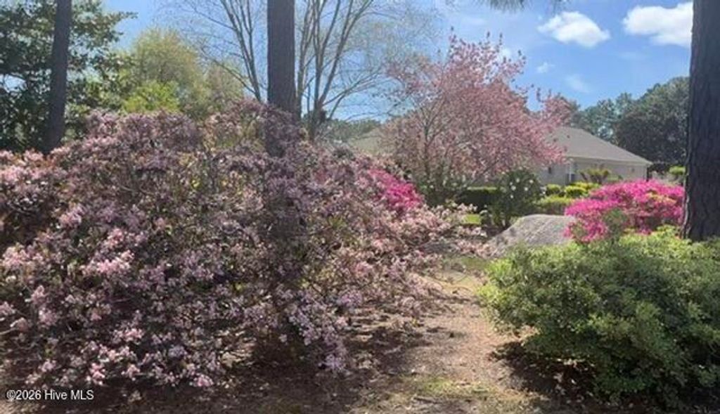 Photo of 3805 Daphine Drive, Wilmington, NC 28409 (MLS # 100552166)