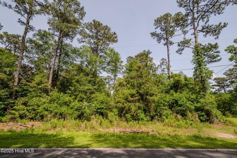 Tiny photo for 3014 Oakley Circle, Castle Hayne, NC 28429 (MLS # 100564883)