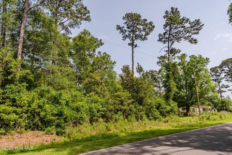 Tiny photo for 3014 Oakley Circle, Castle Hayne, NC 28429 (MLS # 100564883)