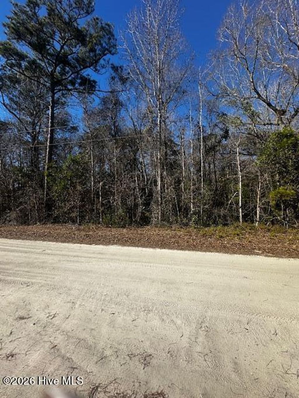 Photo of 289 Tuliptree Lane SW, Supply, NC 28462 (MLS # 100551410)