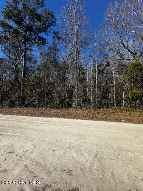 Tiny photo for 289 Tuliptree Lane SW, Supply, NC 28462 (MLS # 100551410)