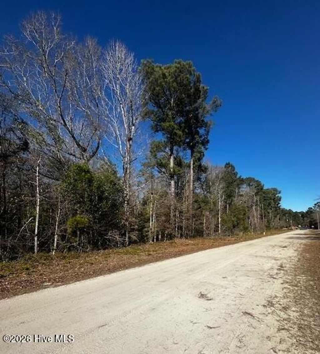 Photo of 289 Tuliptree Lane SW, Supply, NC 28462 (MLS # 100551410)