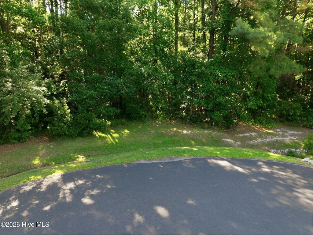 Photo of 110 Bridge Tender Cove, Sneads Ferry, NC 28460 (MLS # 100579383)