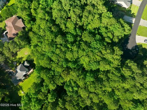 Tiny photo for 110 Bridge Tender Cove, Sneads Ferry, NC 28460 (MLS # 100579383)