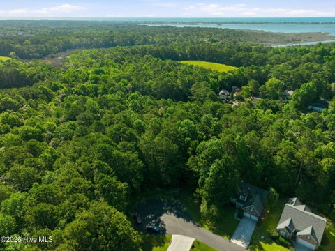 Tiny photo for 110 Bridge Tender Cove, Sneads Ferry, NC 28460 (MLS # 100579383)