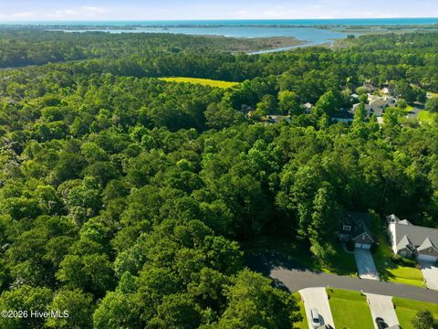 Tiny photo for 110 Bridge Tender Cove, Sneads Ferry, NC 28460 (MLS # 100579383)