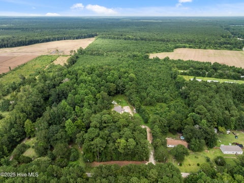 Tiny photo for 3381 Memory Lane S, Burgaw, NC 28425 (MLS # 100602901)