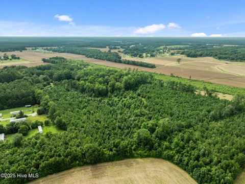 Tiny photo for 3381 Memory Lane S, Burgaw, NC 28425 (MLS # 100602901)