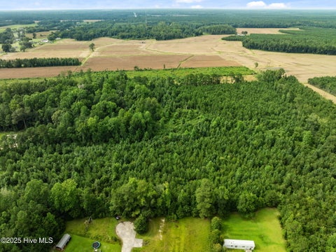 Tiny photo for 3381 Memory Lane S, Burgaw, NC 28425 (MLS # 100602901)