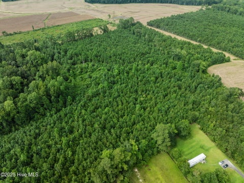 Tiny photo for 3381 Memory Lane S, Burgaw, NC 28425 (MLS # 100602901)