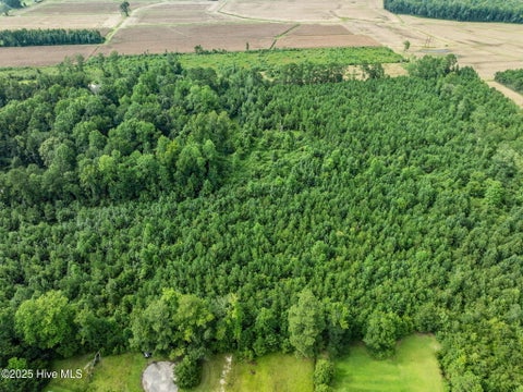 Tiny photo for 3381 Memory Lane S, Burgaw, NC 28425 (MLS # 100602901)