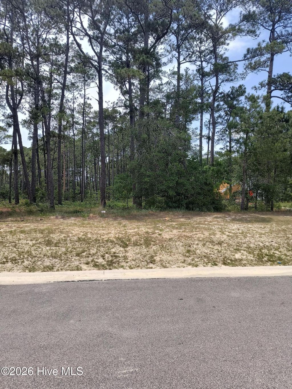 Photo of 6077 Isla Mona Drive SW, Shallotte, NC 28470 (MLS # 100581782)