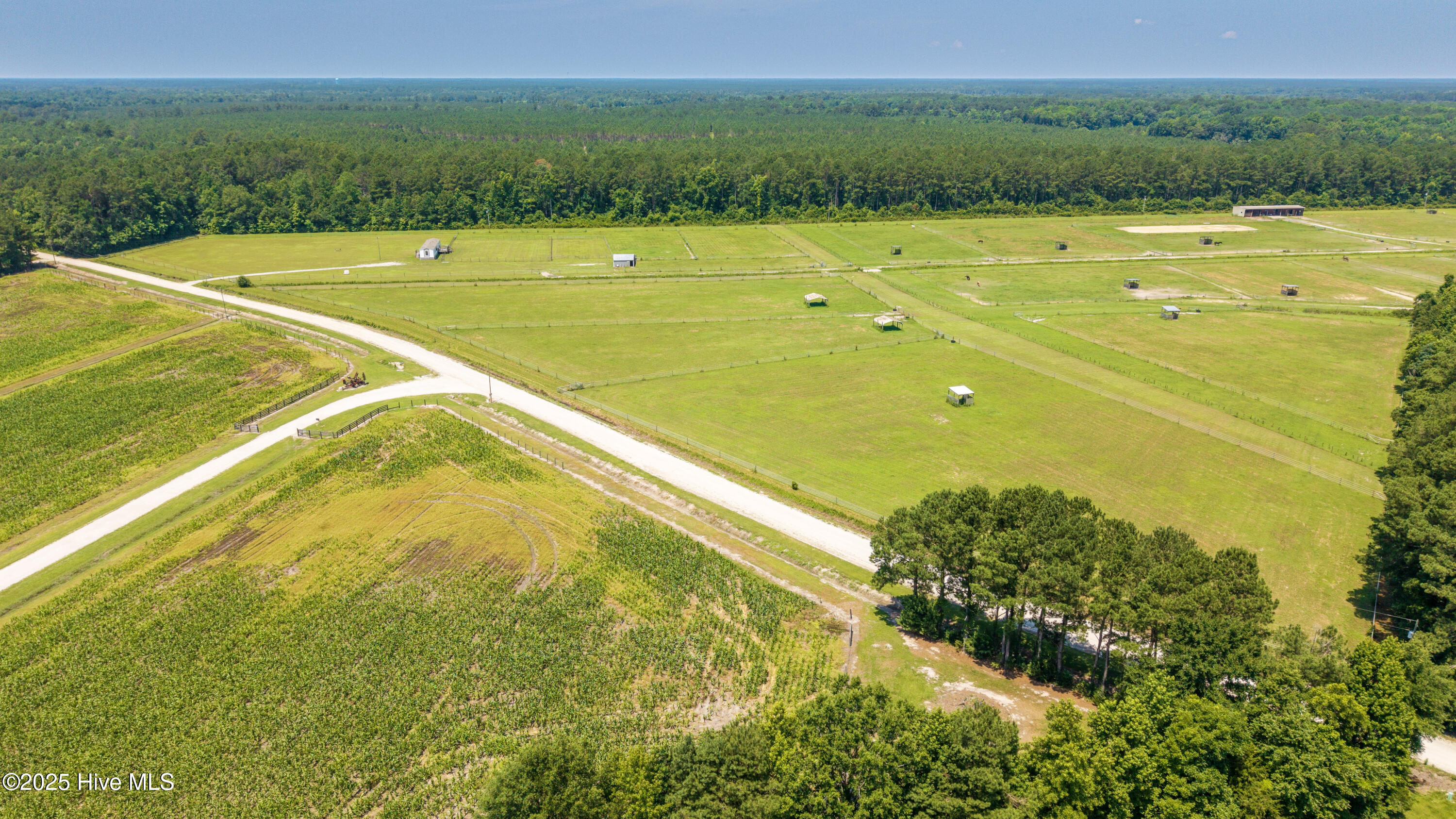 Burgaw, North Carolina 28425, United States, 3 Bedrooms Bedrooms, ,2 BathroomsBathrooms,Residential,Active,255899