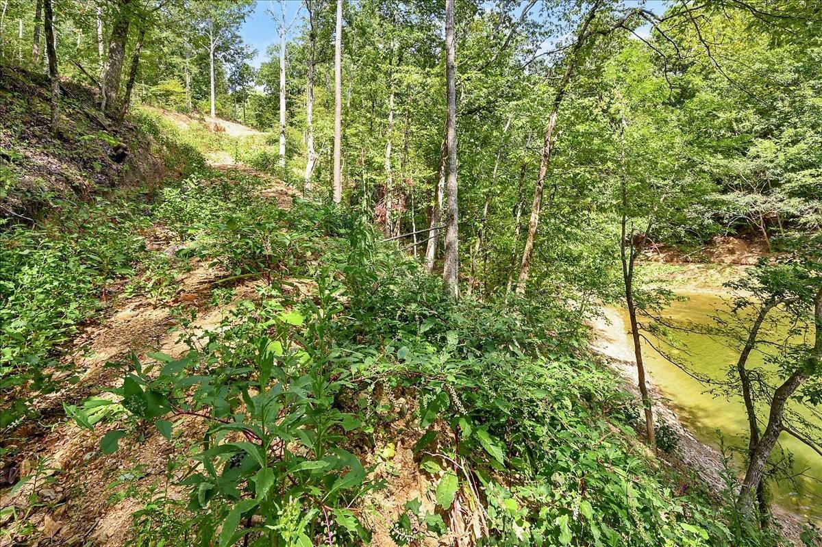 Lot 22 Co Rd 875