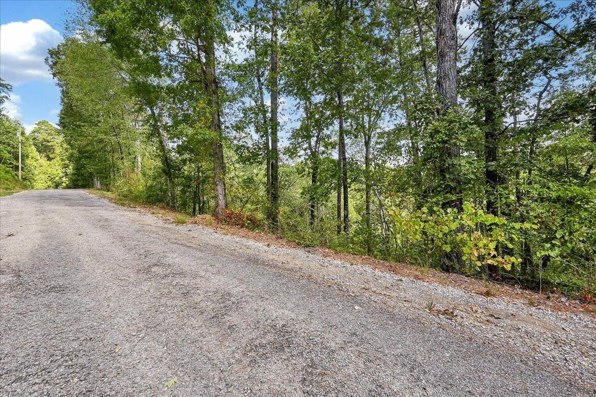 Lot 22 Co Rd 875