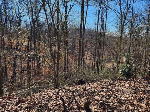 Lot 1 Acorn Ave 1 Cullman AL 