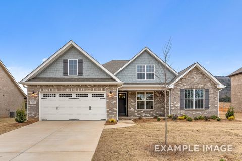 2076 Austin Dr NE Cullman AL 