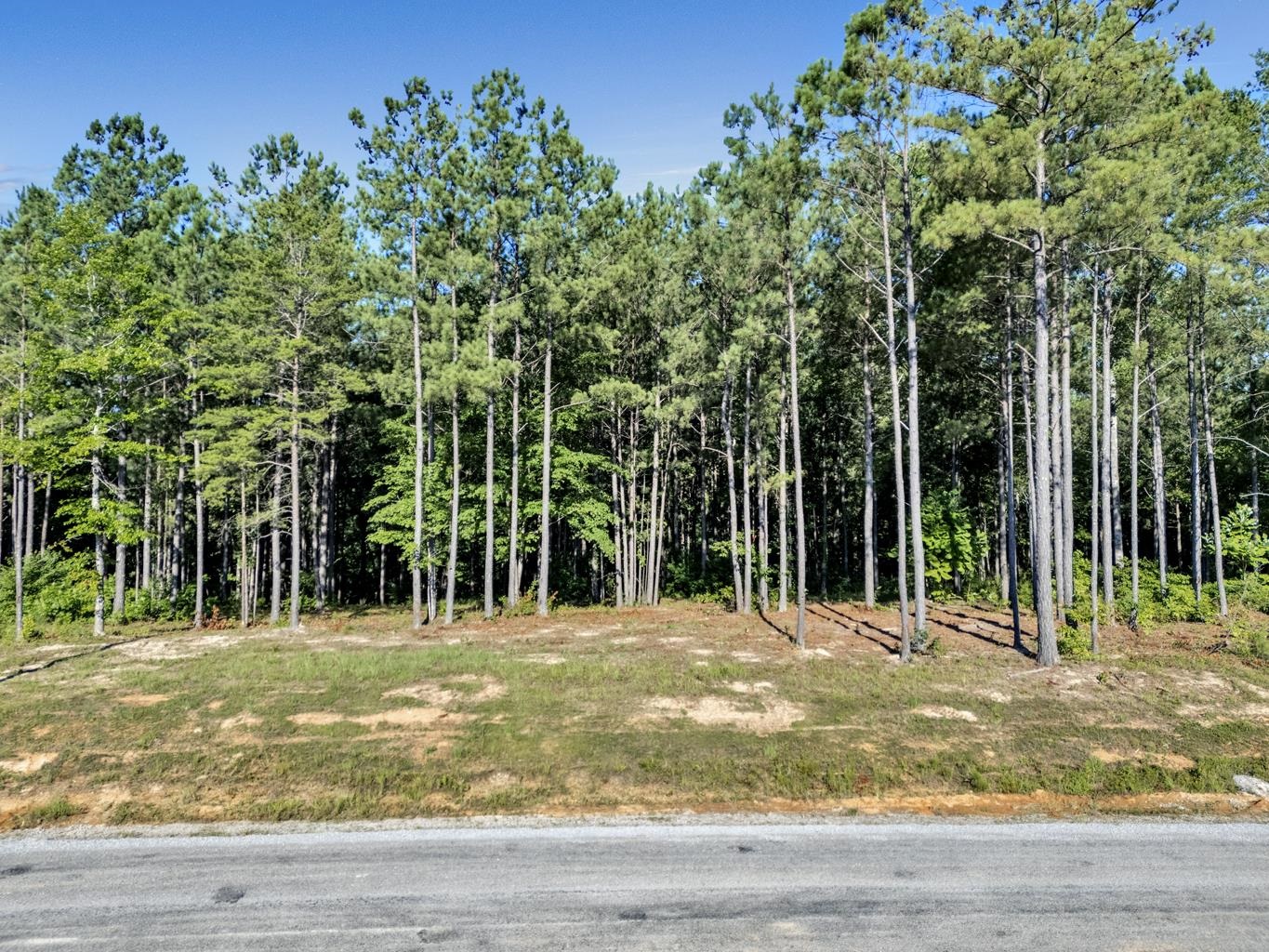 Lot 54 Shoreline Dr