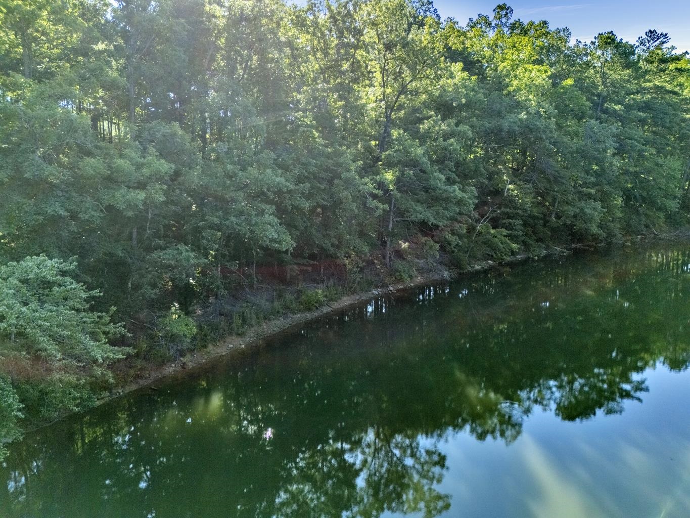 Photo 1 of 14 — Lot 54 Shoreline Dr, Double Springs, AL 35553
