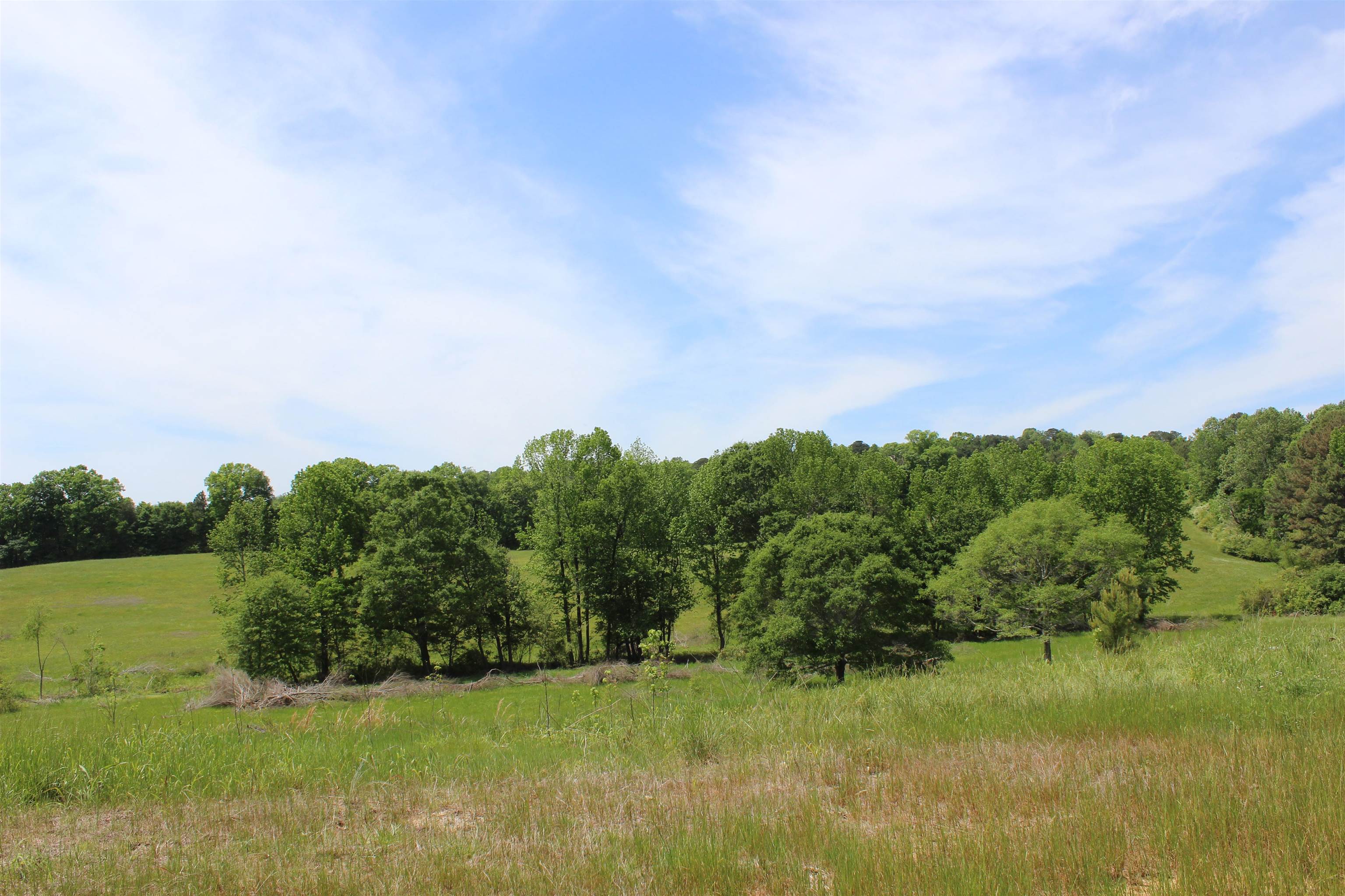 6338 Co Rd 813