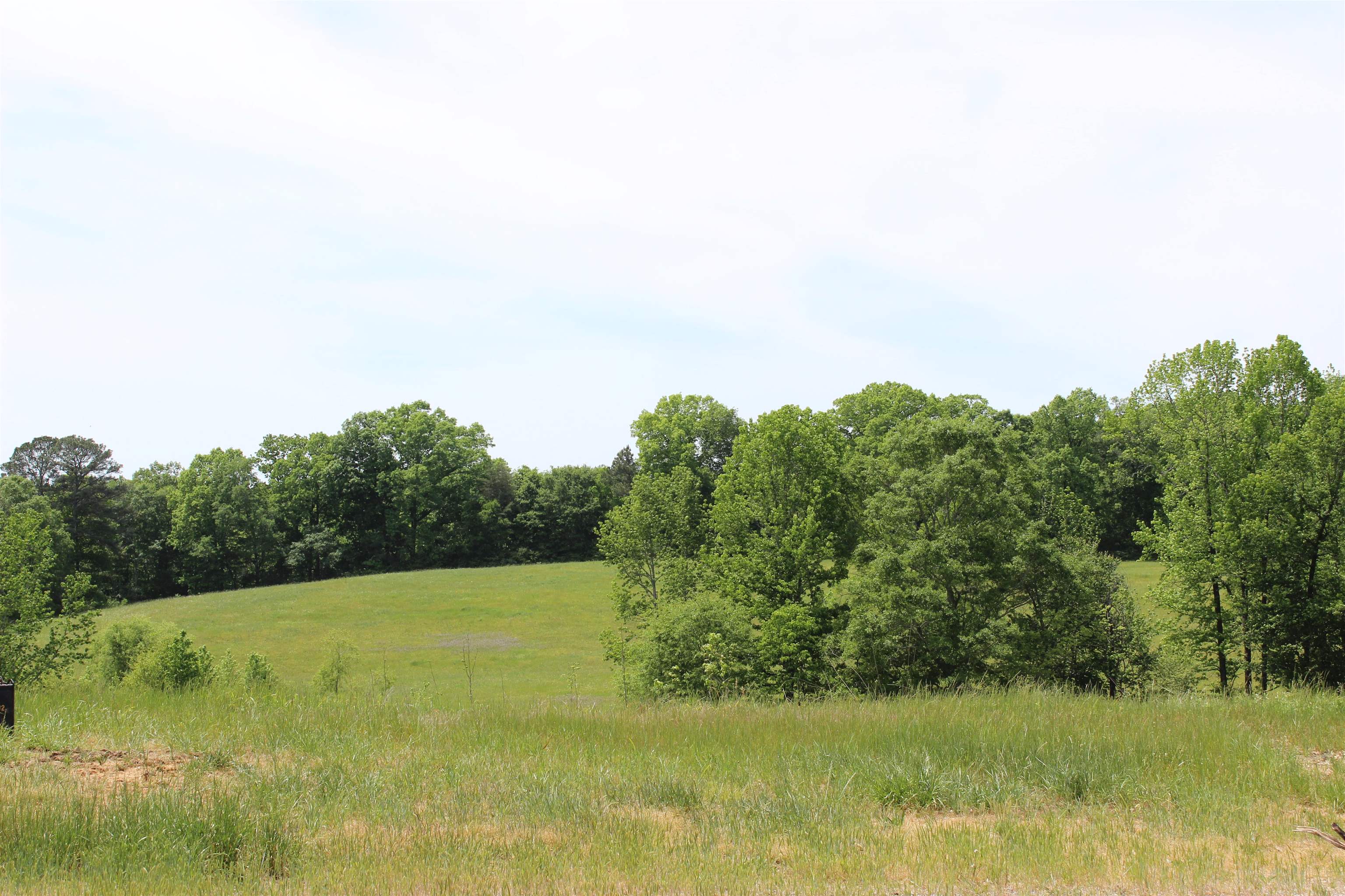 6338 Co Rd 813