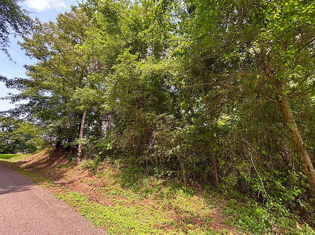0 Alabama Ave